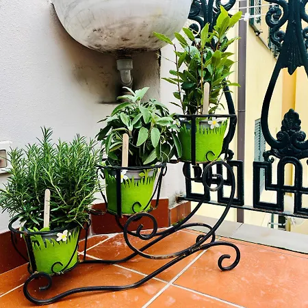 Casa Migliorina *